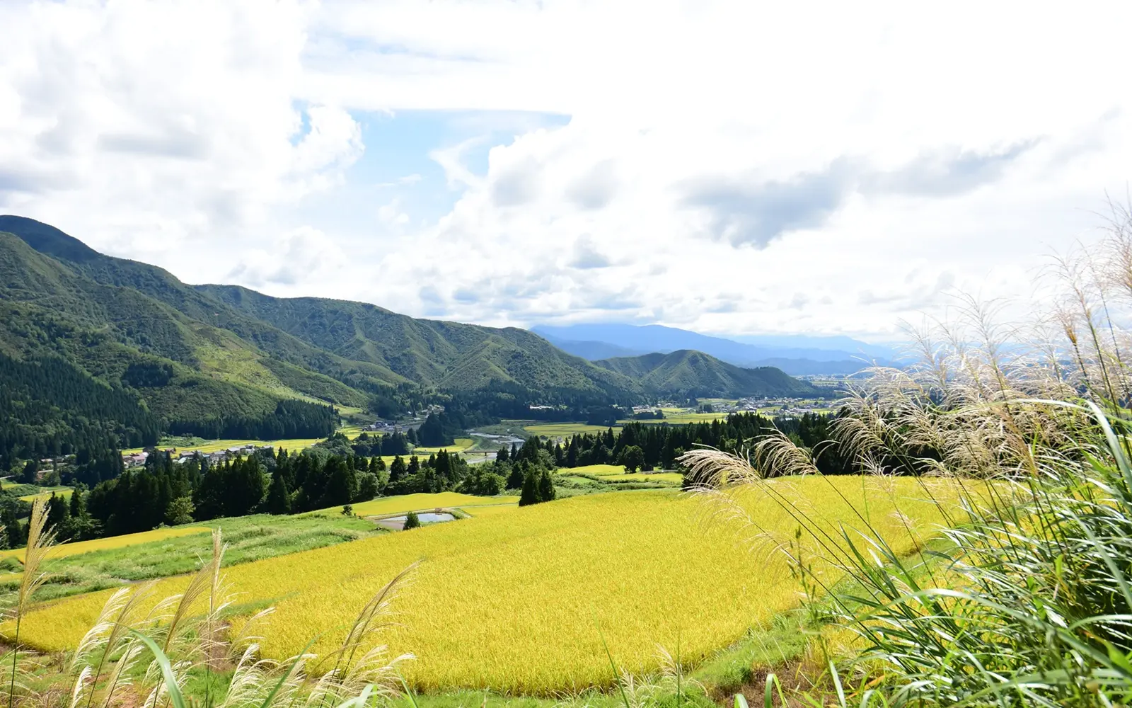 魚沼の田園風景