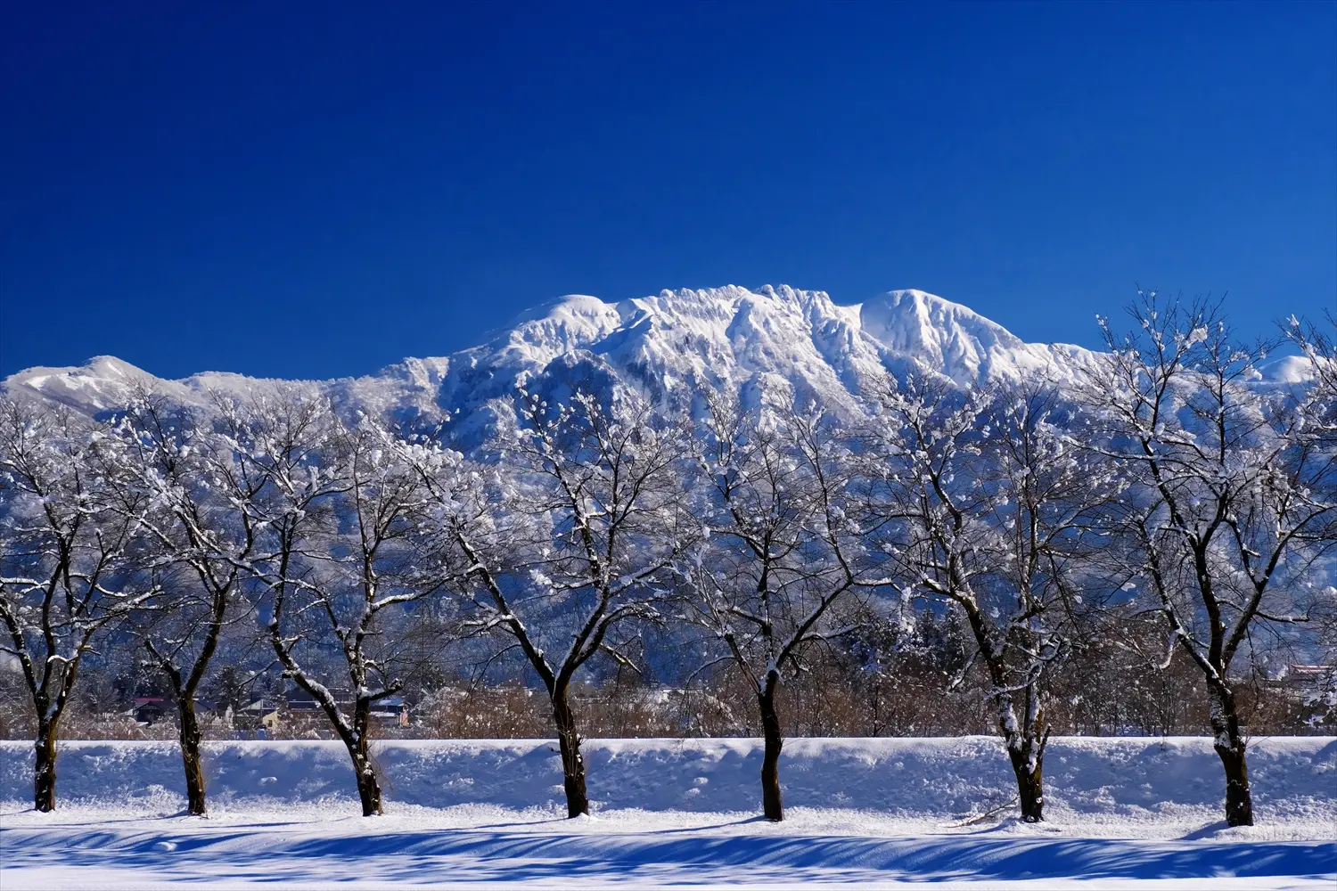 雪化粧した八海山